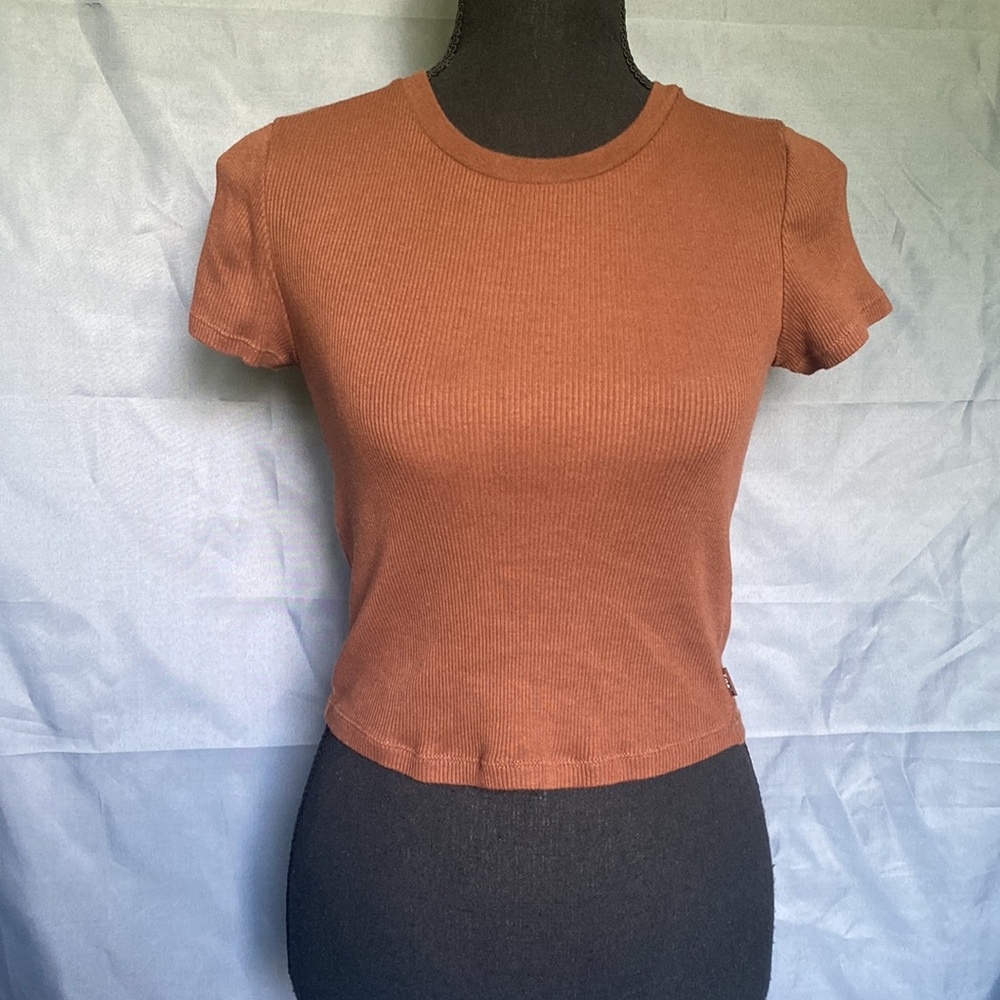 TNA Aritzia Small Brown Short Sleeve Classic Ribbed Baby Tee Shirt